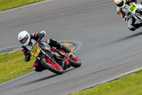 PJ-Motorsport-2019;anglesey-no-limits-trackday;anglesey-photographs;anglesey-trackday-photographs;enduro-digital-images;event-digital-images;eventdigitalimages;no-limits-trackdays;peter-wileman-photography;racing-digital-images;trac-mon;trackday-digital-images;trackday-photos;ty-croes
